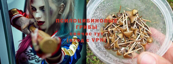 спайс Новозыбков